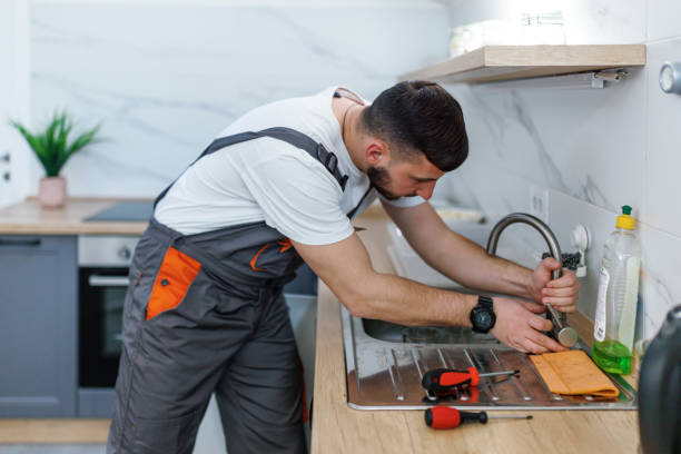 Best Leak Detection Services  in Elgin, IL